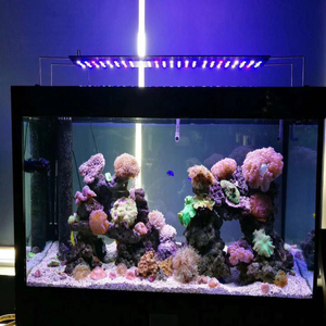 Lampe pour <span class=keywords><strong>Aquarium</strong></span> de croissance <span class=keywords><strong>Led</strong></span>, forêt, réservoir de poissons, spectre complet, 48 pouces, nouveauté - Product Image 1