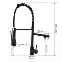 Robinet de cuisine monocommande noir poli avec douchette extractible, mitigeur eau chaude et froide, pour rénovation moderne de l'évier de cuisine