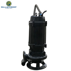 Bomba Sumergible para Aguas Residuales Antiobstrucción 380V-660V 2.2KW-550KW Fabricada en China, Personalizada OEM, Tratamiento SS304/SS316 - Product Image 1