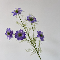 Bunga Nigella Buatan Sutra, Rangkaian Bunga Daisy, Dekorasi Pernikahan, Hotel, Mal, dan Pajangan