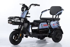 Tricycle pour passagers 1000W, tricycle adulte, tricycles - Product Image 3
