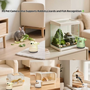 Camera thú cưng AI PICKFUN có chức năng báo cáo thú cưng hàng ngày tự động và tự động quay vlog, người bạn đồng hành thú cưng AI - Product Image 2