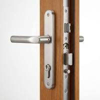 Porte à battant élégante et durable, finition bois naturel, cadre fin contemporain, isolation thermique, étanchéité à l'air, imperméable