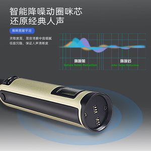 GAW-SKM9000A Micro Karaoke Giọng Hát Cầm Tay Năng Động Không Dây Có Thể Sạc Lại Micro Chuyên Nghiệp - Product Image 5