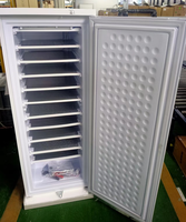 Machine à glaçons solaire Tunto 24V198L DC, congélateur vertical BD-198, classe d'efficacité énergétique 2, usage commercial, garantie 1 an