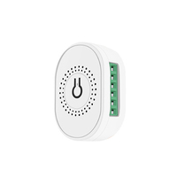 천라이 투야 스마트 홈 시스템 WiFi 벽 스위치 팬 스위치 팬 타이머 스위치 투야 와이파이 개조 스위치 팬 모듈