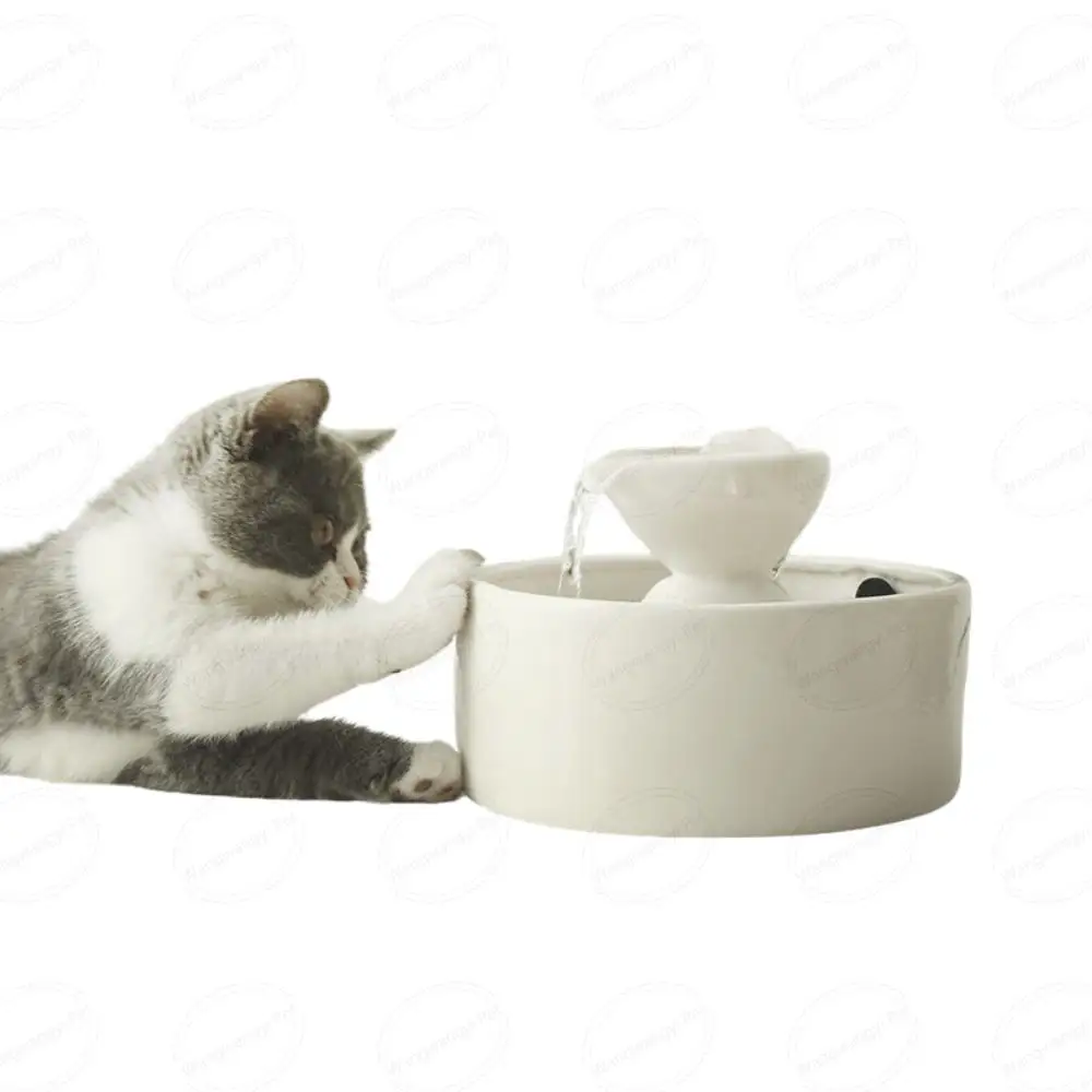बिल्ली स्वचालित जल चक्र पानी निकालने की मशीन चीनी मिट्टी पालतू फव्वारा पानी फीडर