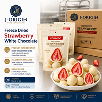 Fresas Liofilizadas con Chocolate Blanco, Dulce de Frutas Premium, 58g, 40 Bolsas, 12 Meses de Caducidad, Listo para Comer, OEM, Marca Privada