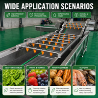 Fruit- en groenteverwerkingsmachines, fruit- en groentewasmachine, bubbelwasmachine voor fruit en groenten