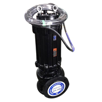 Pompe à eau sale submersible pour eaux usées Pompe à boue pour eaux usées Pompe d'aspiration de boue pour eau sale