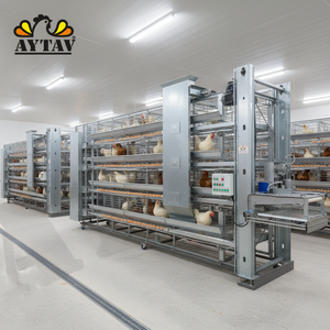 ระบบกรงไก่โลหะคุณภาพดีที่สุดแบบใหม่ 15 ชั้น รุ่น AYCAGE 60x60 ระบบเก็บไข่อัตโนมัติ พร้อมระบบกำจัดมูลไก่ รับประกัน 1 ปี AYTAV - Product Image 3