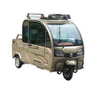 Nouvelle version de tricycle électrique multifonction à 3 roues en aluminium, cabine fermée, certifié EEC, véhicule pour passagers, moteur 1000W, batterie 60V