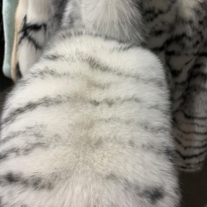 Vera pelliccia giacca manica lunga donna vera volpe <span class=keywords><strong>cappotto</strong></span> donna pelliccia naturale panno stampa Zebra - Product Image 5