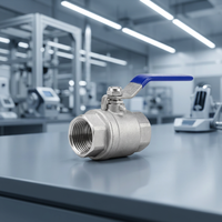 Vanne à boisseau sphérique pour pipeline en acier inoxydable 201, filetage femelle, pour isolation de milieux acides, fournisseur industriel, usine de sourcing