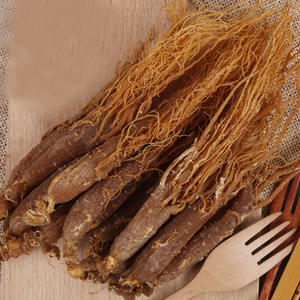 Fábrica fornecer diretamente Changbai montanha <span class=keywords><strong>ginseng</strong></span> vermelho Whole <span class=keywords><strong>Panax</strong></span> <span class=keywords><strong>Ginseng</strong></span> <span class=keywords><strong>Root</strong></span> - Product Image 4