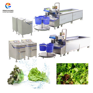 Lavadora de Vórtice Suave de 2000 kg/h para Lechuga, Nueva Lavadora de Vórtice para Verduras de Hoja y Lechuga - Product Image 1