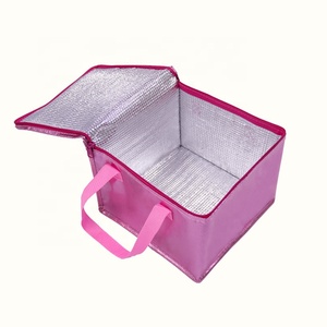 High Quality Custom Logo Thermal Insulation Cooler Lunch Bag Picnic Bento Box