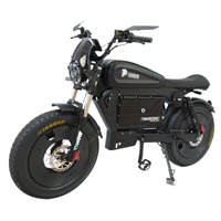 Vélo électrique Fatbike E-MTB 60V noir de style nouveau, très vendu, 3000W, en alliage d'aluminium, pour femmes
