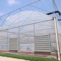 Grandes serres agricoles solaires en acier en forme de C avec couverture en acier pour la culture de légumes (modèle simple)