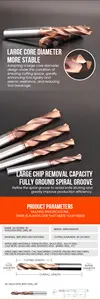 Hrc55 Carbide Tungsten Steel Alloy Twist Drill Bits 3D 4D Taper Shank Carbide Twist Drillt For Metal Drilling