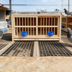 Gabbia per Allevamento Piccioni Pieghevole in Legno di Pino di Alta Qualità, Ecologica e Traspirante, Casetta per Uccelli da Esterno Facile da Montare - Product Image 4