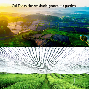 <span class=keywords><strong>Matcha</strong></span> para té de <span class=keywords><strong>leche</strong></span>, Té Halal, té verde en polvo, <span class=keywords><strong>Matcha</strong></span> orgánica, Japón - Product Image 4