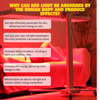 Panneau de luminothérapie rouge pleine longueur PRO de grande taille, 1800 W x 5 W, pour la gym et le yoga, réglable en hauteur et en angle, fourni directement par l'usine.
