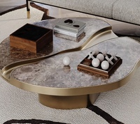 Table basse convertible moderne italienne minimaliste avec plateau en marbre de forme irrégulière et base en acier inoxydable, meubles de salon