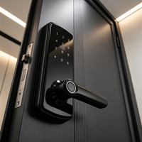Hot Item Digital Smart Lock 6070 Standard Lock Body HR Security Lock Multi Options for Villa Hospitality