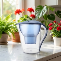 Carafe filtrante à eau en plastique sans BPA, conforme RoHS, sans danger pour les aliments, avec filtre à charbon actif, grande capacité, pour la maison