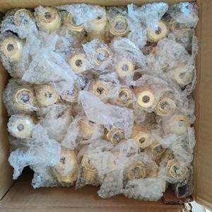 HQ QF-2D/7B Industrial Cylinder <b>Valve</b> Source Manufacturer G5/8 Oxygen <b>Valve</b> for India & Pakistan - Product Image 4