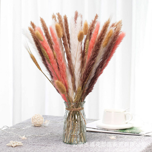 N-113 Long-Durable Boho <span class=keywords><strong>Fleurs</strong></span> <span class=keywords><strong>Séchées</strong></span> <span class=keywords><strong>Bouquet</strong></span> Maison <span class=keywords><strong>De</strong></span> Mariage Décor Naturel Pampas Herbe <span class=keywords><strong>Bouquet</strong></span> - Product Image 4