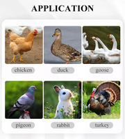 Cage de transport en plastique solide pour volaille, cage pour poulet, canard et oies