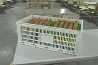 Panier pliable en plastique PP de grande taille 630x330x257mm, paniers en maille portables pour le stockage des œufs, pour les aliments frais, les supermarchés