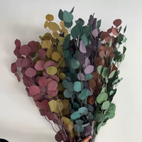 Feuilles de pomme naturelles séchées et préservées, feuillage éternel pour la décoration intérieure et les arrangements floraux