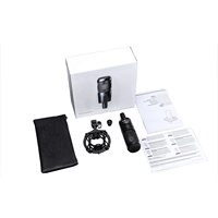 AT2035 Professionelles XLR-M Kondensatormikrofon für Gesang, Podcasting und Live-Streaming-Kit mit Stoßdämpferhalterung