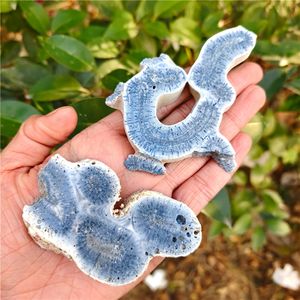 Wholesale High Quality Natural Crystal Stone Crafts Blue Coral Slice/Palm Stone/<b>Heart</b> <b>for</b> Home <b>Decoration</b> and Energy Balancing - Product Image 4