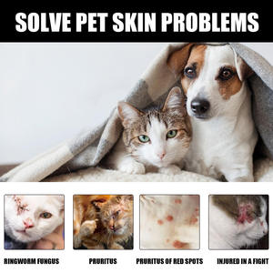Spray Externo Ecológico para el Cuidado de la Piel de Gatos con Hongos, Eliminación de Ácaros en Gatos y Aplicación en Perros - Product Image 2