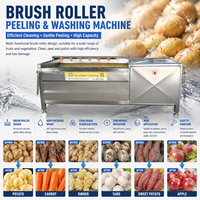 Machine de lavage et de pelage automatique à rouleaux brosse haute capacité pour pommes de terre, carottes et betteraves – Équipement de nettoyage de légumes