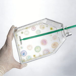 ขวดเพาะเลี้ยงเนื้อเยื่อปลอดเชื้อ WEIAI เกรดทางการแพทย์ ผลิตจากพลาสติก PS สำหรับห้องปฏิบัติการทางชีวภาพ ขนาด 25 มล. 50 มล. 250 มล. 375 มล. 600 มล. 850 มล. ผ่านการปรับสภาพด้วย TC - Product Image 6