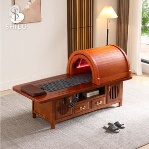 صندوق علاج بالبخار بعيد واحد معدات غرفة الكي بالبخار والخشب الصلب بالبخار المعالج - Product Image 2