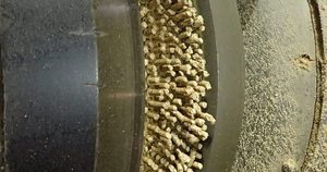 Pellet de madera para calefacción de combustible, alta calidad, precio barato, 2022 - Product Image 4