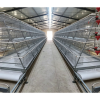 Cage à poules pondeuses de type A à alimentation automatique, avec nettoyage manuel du fumier par manivelle, pour élevage en batterie, à vendre