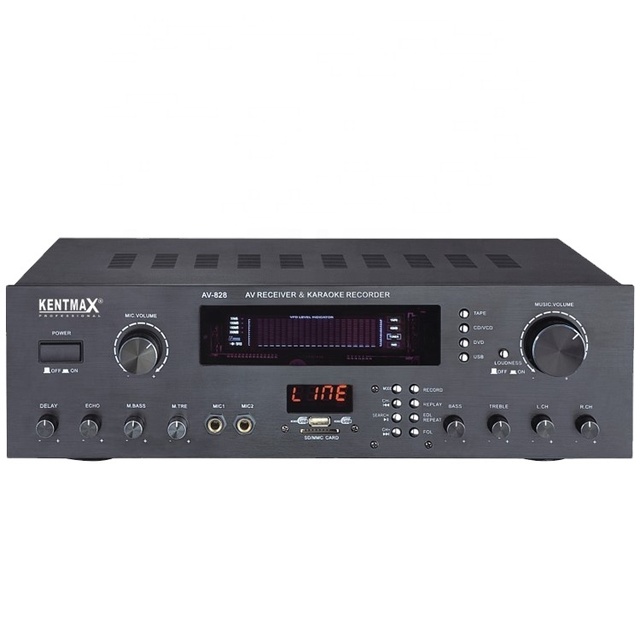 25W Home Audio AMP 2 CHANNELS Digital Echo Stereo Digital Karaoke Amplifier