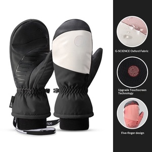 Toptan Özelleştirilmiş Unisex Kış Eldivenleri Termal Polar Astarlı Su Geçirmez Kaymaz Tek Kişilik Snowboard Kayak İçin - Product Image 1