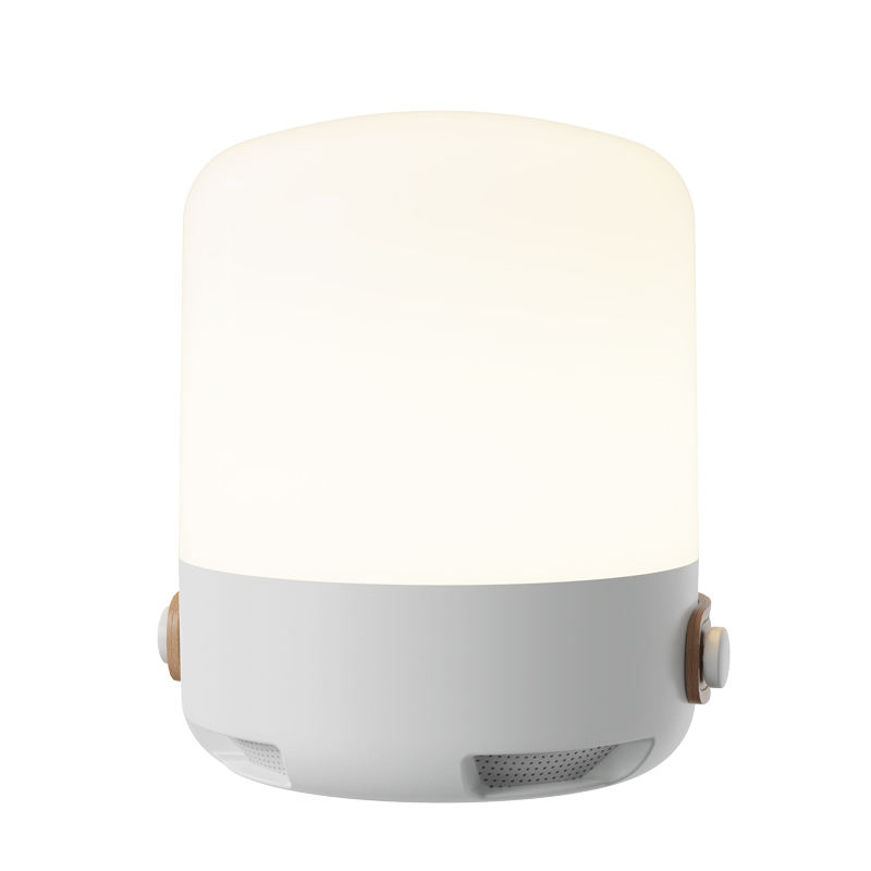 White Shell Warm Light