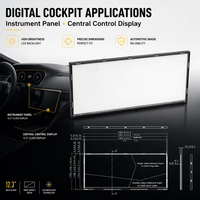 Module d'éclairage arrière TFT automobile haute luminosité 12,3 pouces LH-123001W pour tableau de bord de voiture et panneau d'instruments de véhicule OEM LH PC PFC