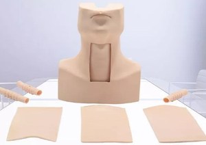 Maniquí de Entrenamiento en Ciencias Médicas, Modelo Avanzado de Entrenamiento en Cirugía de Traqueotomía, Simulador de Tirocricocentesis - Product Image 6