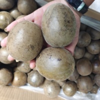 Fournisseur de source Vente en gros Price100 % Naturel Luo Han Guo Momordica Grosvenori Fruits de moine séchés pour la cuisine ou le thé