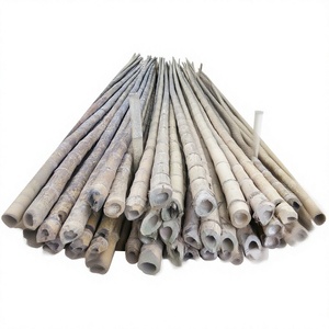 Varas de Bambú Naturales Ecológicas (2-3M 0.3-0.5m de Diámetro) para Agricultura y Paisajismo - Marca Vigifarm - Product Image 1
